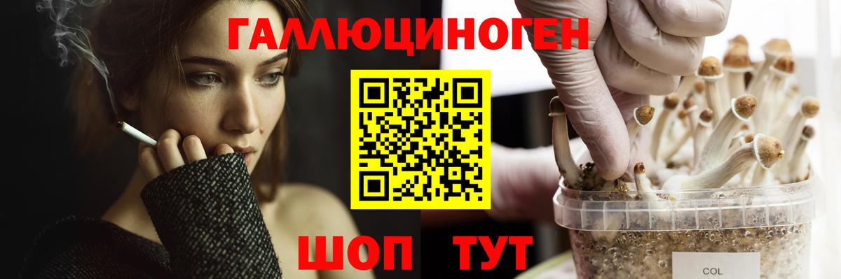 Галлюциногенные грибы мицелий  Галлюциногенные грибы GOLDEN TEACHER  Вход с VPN  хочу наркоту  Темрюк 